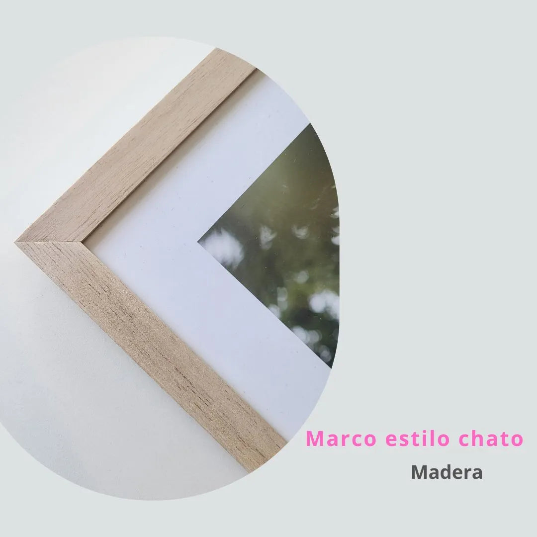 Set Decorativo de 3 Piezas | Arte Moderno Minimalista | Motivo Hojas en Tonos Tierra